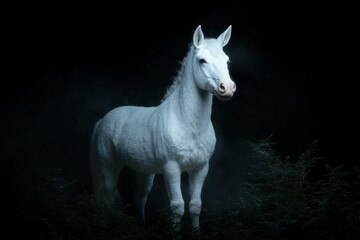 Fototapeta premium Majestic white horse in dark forest