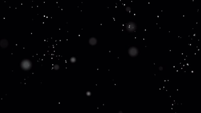  3D snowfall with transparent background. Snow animation with alpha channel background.