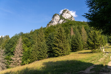 widok skały w górach, widok lasu