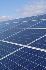 Rows of solar panels