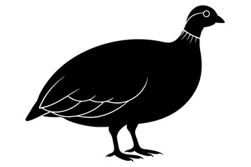 Guinea Fowl animal vector, silhouette black color, vector illustration