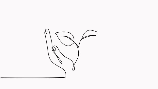 Hands holding leaves branch continuous line drawing animated video. Plant in human arm one line art.