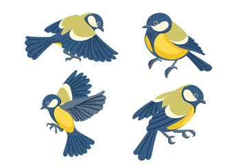 Set of Cute tit bird in motion. Cartoon animal design, stylized bird with blue and yellow feathers. Vector illustration isolated on white background