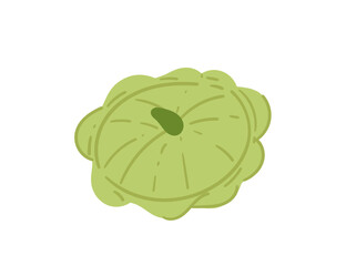 Green patisson squash vegetable. Fresh veggie of agriculture crop plant. Vector illustration isolated on white background