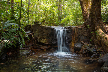 waterfall in the forest