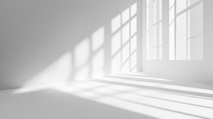 Fototapeta premium A minimalist interior with sunlight casting shadows through large windows.
