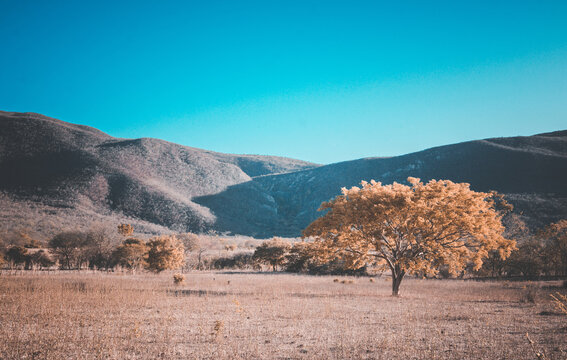 landscape, nature, forest, green, mountain, tree, sky, summer, view, hill, grass, trees, meadow, field, valley, spring, countryside, rural, mountains, environment, beautiful, blue, natural, scenic, sc