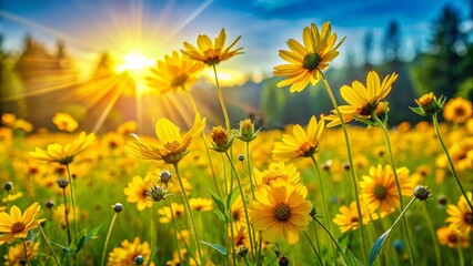 Obraz premium Vibrant yellow wildflowers sway gently in the breeze, illuminating a serene, sun-drenched meadow with warm light, evoking a sense of peaceful tranquility and natural beauty.