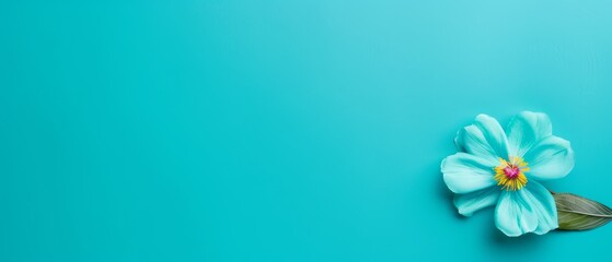  Blue flower with green leaf against a blue backdrop Text space on the image's left side