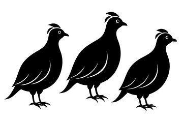 partridge vector silhouette, partridge bird icon vector illustration