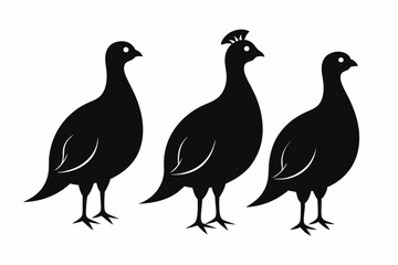 partridge vector silhouette, partridge bird icon vector illustration