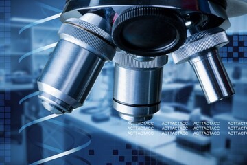 Tissue Engineering: optical microscopes to research