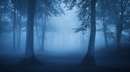 Obraz premium A misty forest scene with tall trees shrouded in blue fog, creating an eerie atmosphere.