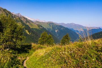 Naklejka premium Panorama sur les Pyrénées françaises depuis le Plateau du Campsaure, à la frontière franco-espagnole