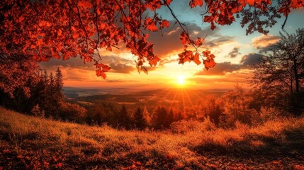 Naklejka premium A beautiful autumn sunset with red leaves hanging from a tree, casting warm light over a field. Perfect for landscape and seasonal themes.
