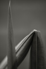 A broken stem of a plant