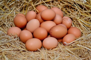 Pile of raw brown chicken eggs in straw with generaive ai
