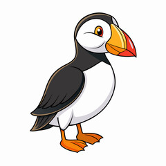 Puffin art vector illustration