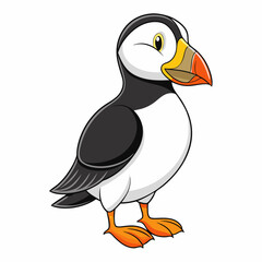 Puffin art vector illustration