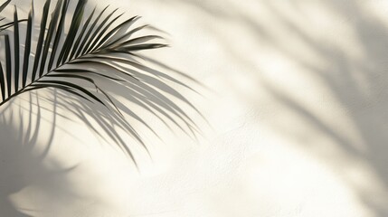 Elegant palm shadows cast on a serene white wall, creating a tranquil and minimalist atmosphere.