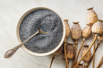 Dry poppy head and poppy seed in bowl on kitchen table. Top view.