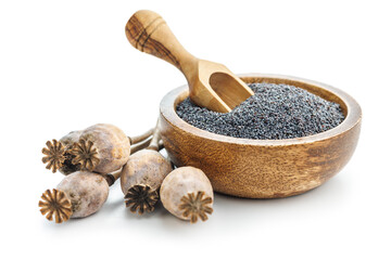 Dry poppy head and poppy seed in bowl isolated on white background.