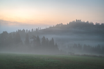 las w porannej mgle © Piotr Szpakowski