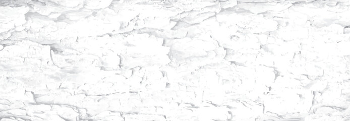 Tree bark textured background with cracks and rough edges. Organic rustic texture from nature.