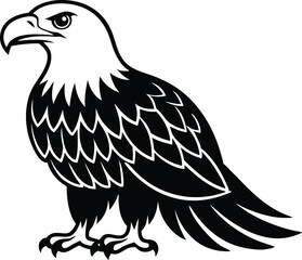 Bald Eagle Vector Illustration - Majestic Bird of Prey Design