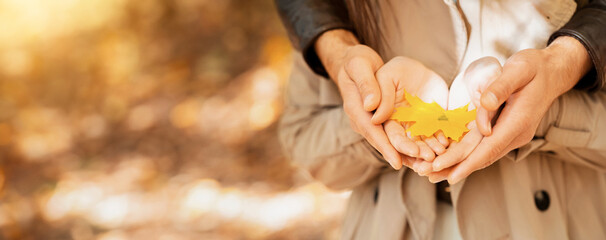 Couple holding yellow maple leaf in palms, caring for nature, closeup