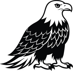Bald Eagle Vector Illustration - Majestic Bird of Prey Design