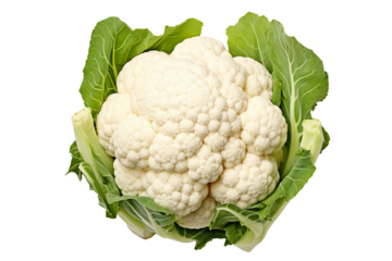 A cauliflower seen from top view isolated on clear white and transparent background