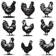 Chicken hen silhouette isolated on white background, Flat vector Farm Animal illustration