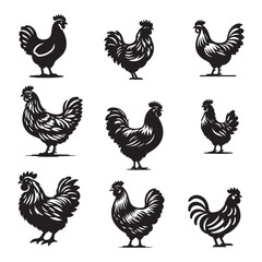 Chicken hen silhouette isolated on white background, Flat vector Farm Animal illustration