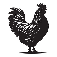 Chicken hen silhouette isolated on white background, Flat vector Farm Animal illustration