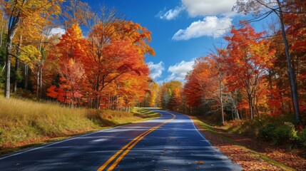 Obraz premium A winding road lined with vibrant trees in shades of orange and red, set against a bright blue sky on a clear autumn day.