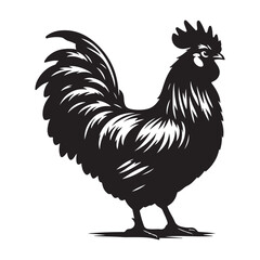 Chicken hen silhouette isolated on white background, Flat vector Farm Animal illustration