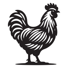 Chicken hen silhouette isolated on white background, Flat vector Farm Animal illustration