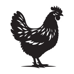 Chicken hen silhouette isolated on white background, Flat vector Farm Animal illustration