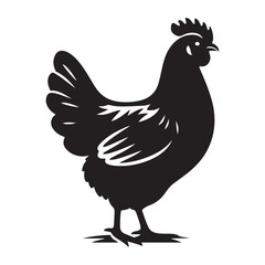 Chicken hen silhouette isolated on white background, Flat vector Farm Animal illustration