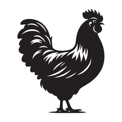 Chicken hen silhouette isolated on white background, Flat vector Farm Animal illustration