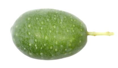 Fresh green olive isolated isolated on white