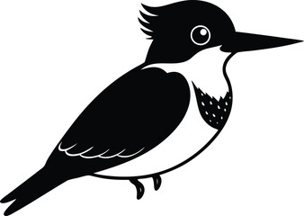 Belted Kingfisher on Vector Illustrator Design