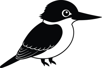 Belted Kingfisher on Vector Illustrator Design