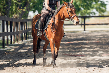 Dynamic horseback riding in a vibrant training environment creates unforgettable experiences