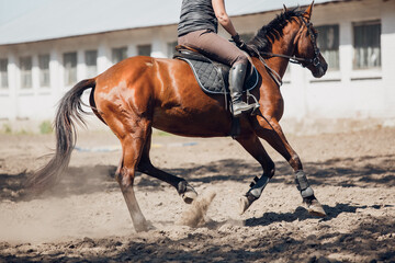 Dynamic horseback riding in a vibrant training environment creates unforgettable experiences