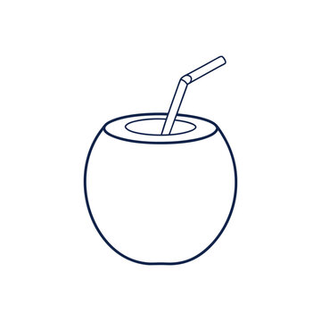 recommend clip art: Coconut Vector Illustration in White Background