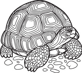 A tortoise line art coloring book illustration for kids