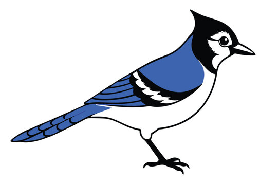 recommend clip art: Blue Jay silhouette vector art illustration.