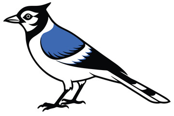 Blue Jay silhouette vector art illustration.